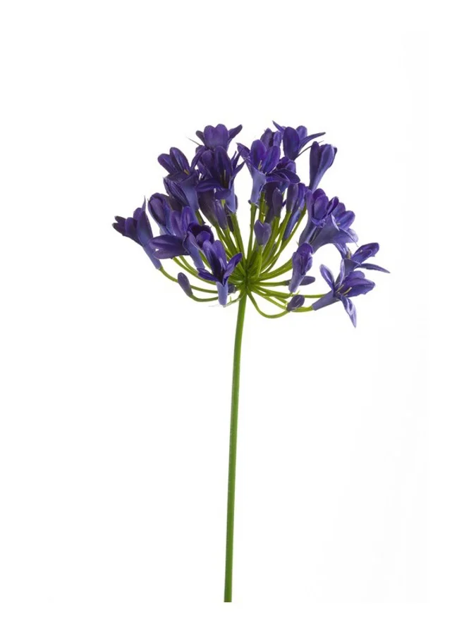 Agapanthus blauw 75cm - Zijden bloem - Kunst bloem -duurzaam