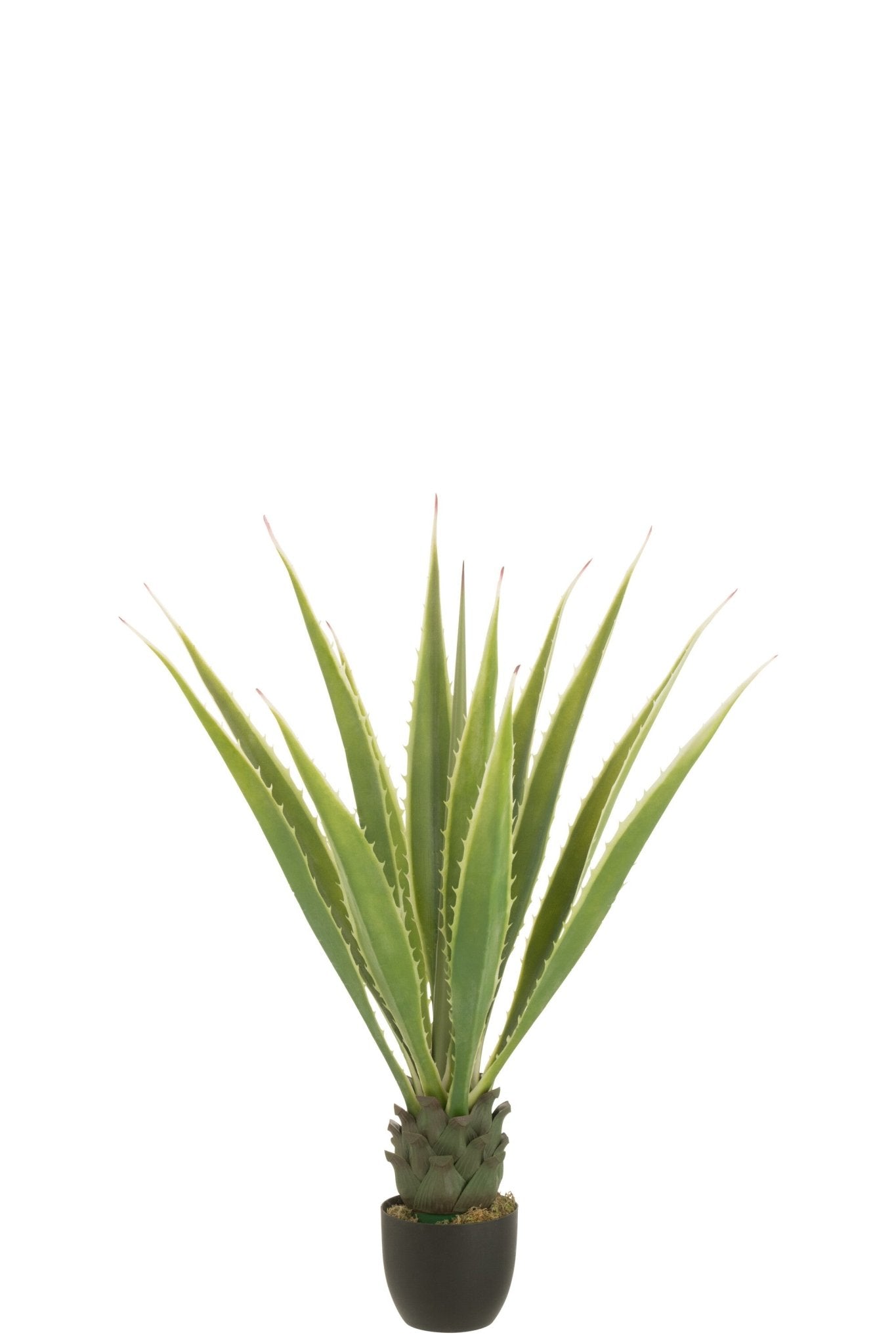 Agave Off - White Edge Pot Artificial Green - Luxe zijden bloemen boeket - Kunstbloemen van Sharon Flowers