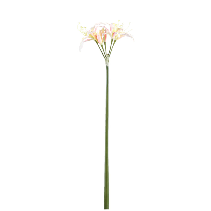 Amaryllis Flower cream amaryllis spray