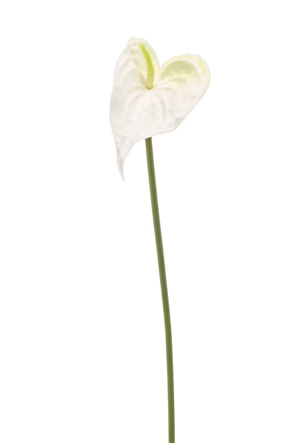 Anthurium stem foam wit 50cm - Zijden bloem - Kunst bloem -duurzaam