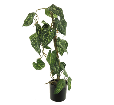 Anthurium Alba zijden plant in pot – 64 cm