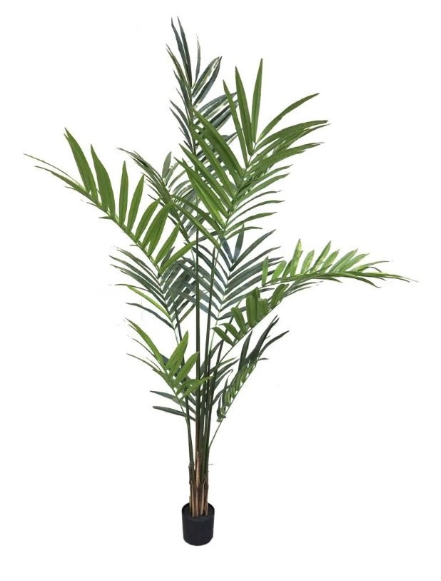 Areca palm giant - 210cm - kunstplant - zijdenplant - Luxe zijden bloemen boeket - Kunstbloemen van Sharon Flowers