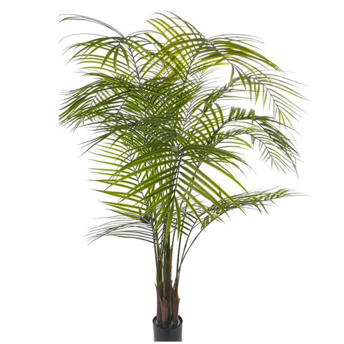 Areca palm UV Groen H175