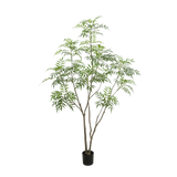 Bamboe boom 240cm