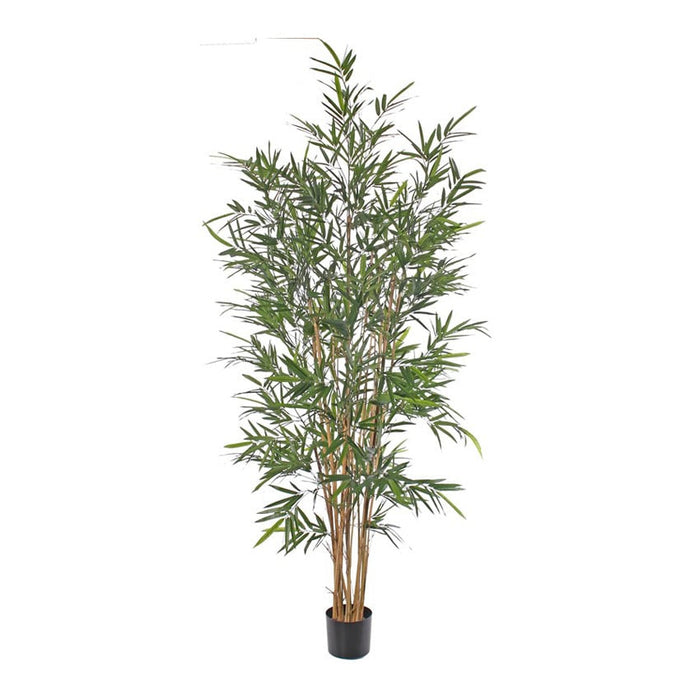 Bamboe plant UV Groen H195