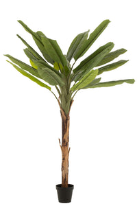 Banana Tree Plastic Green/Brown