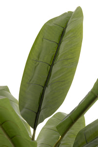 Banana Tree Plastic Green/Brown