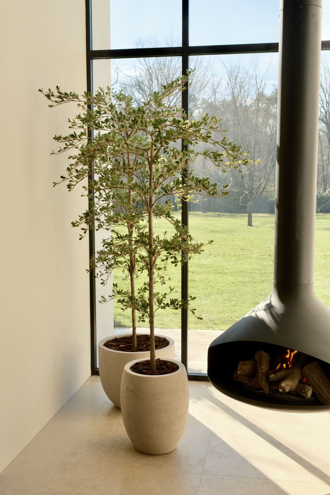 Black Olive boom 180cm