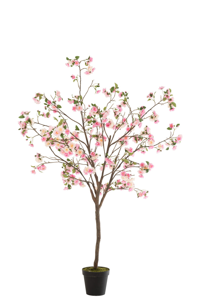 Blossomtree Plastic Pink/Brown Large