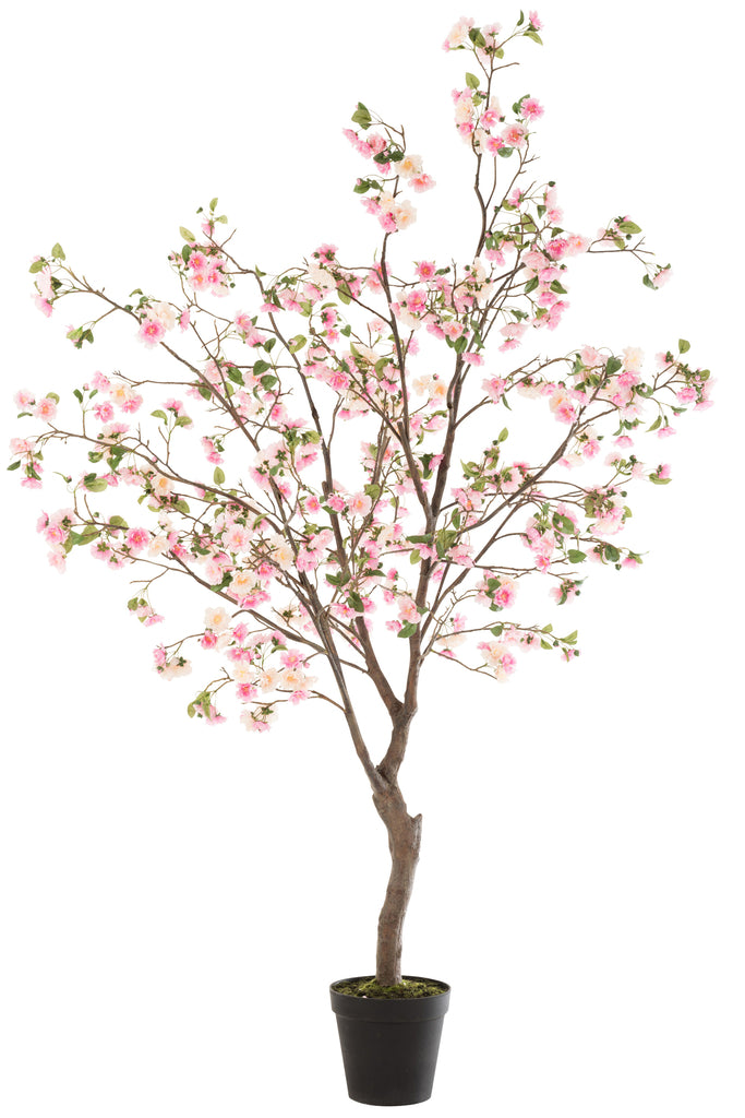 Blossomtree Plastic Pink/Brown Extra Large