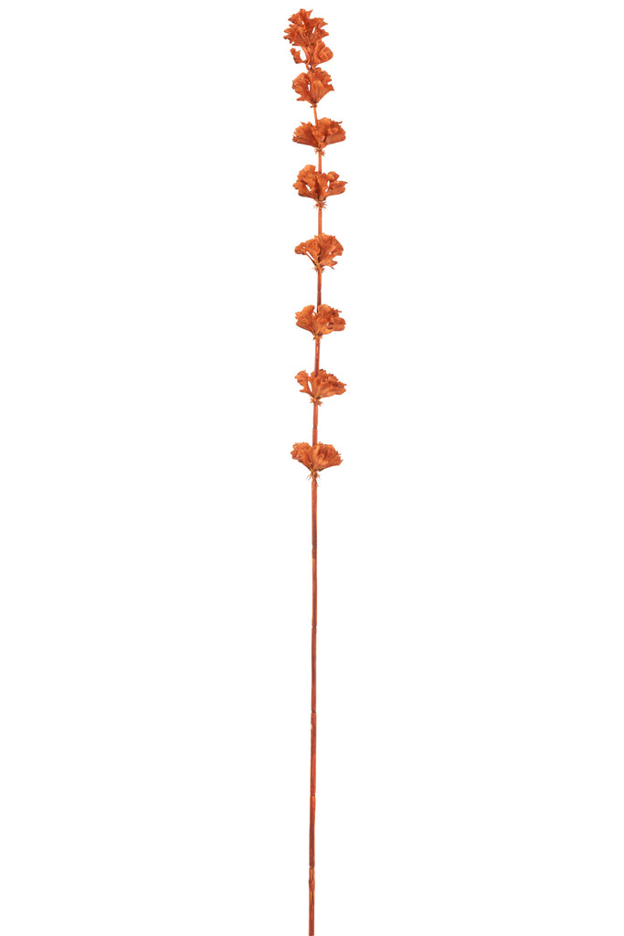 Branch Bells Of Ireland Plastic Orange