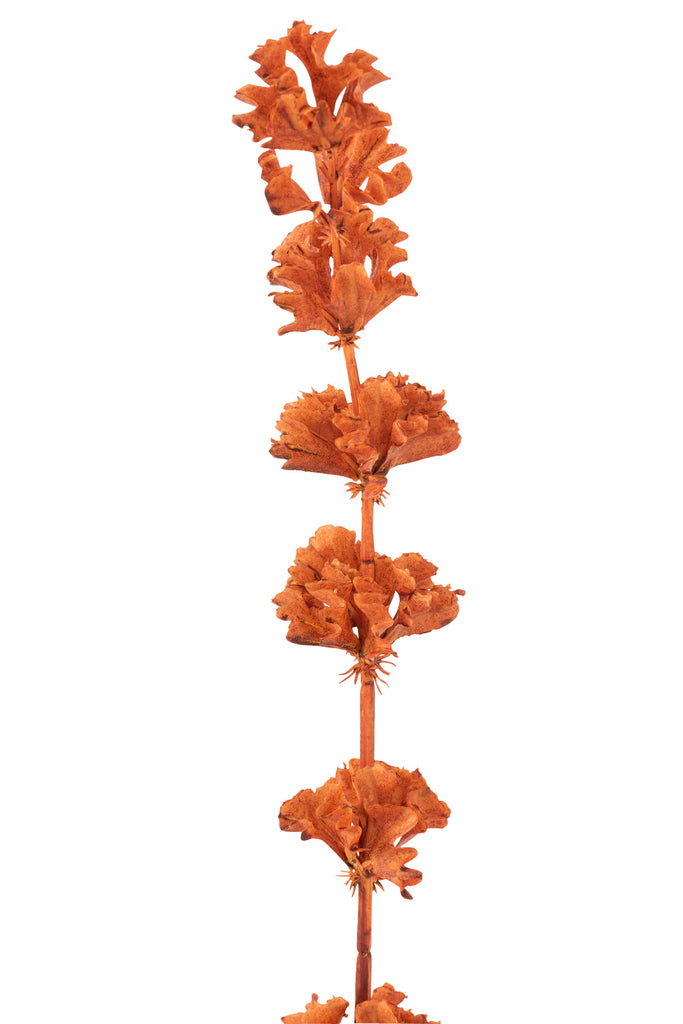 Branch Bells Of Ireland Plastic Orange