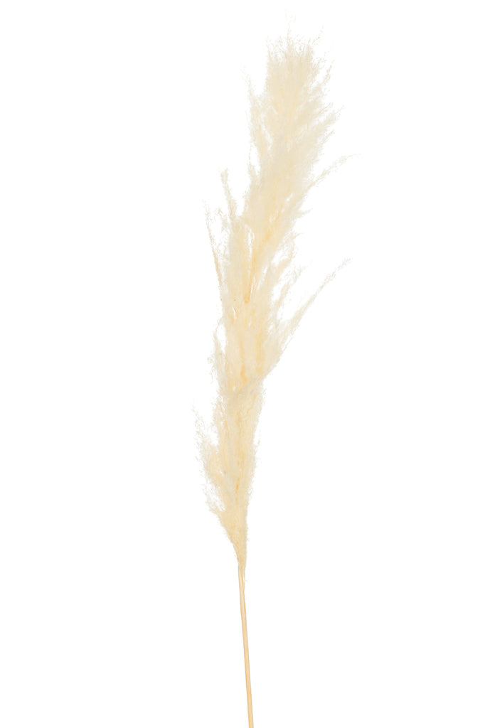 Branch Feather Pampas Grass Ecru Medium