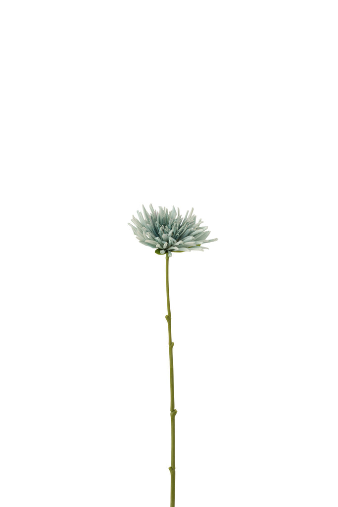 Chrysant Mini Plastic White Light Blue