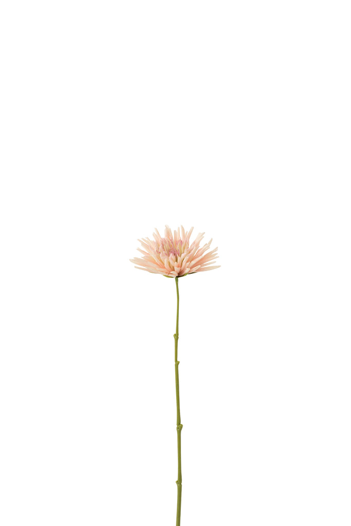 Chrysant Mini Plastic White Light Pink