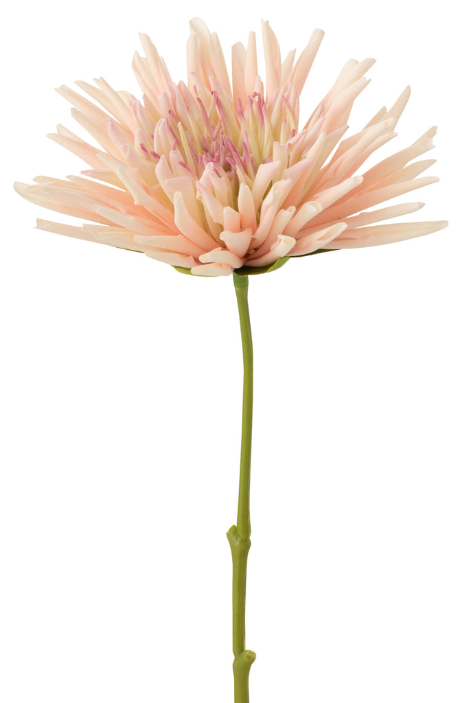 Chrysant Mini Plastic White Light Pink