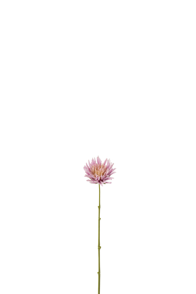 Chrysant Mini Plastic White Light Purple