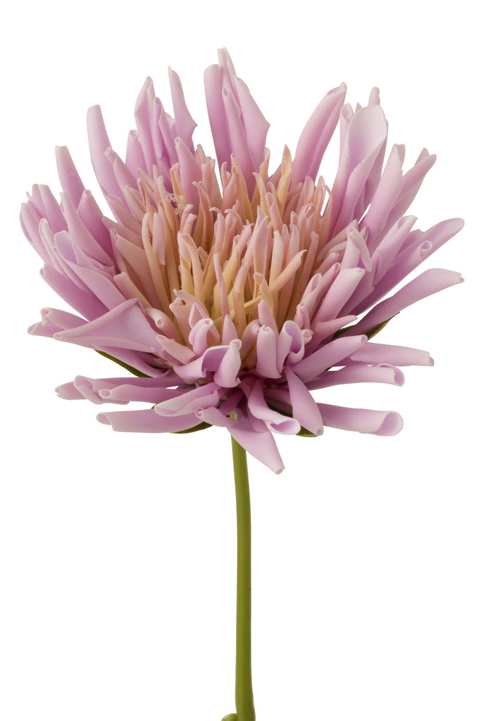 Chrysant Mini Plastic White Light Purple