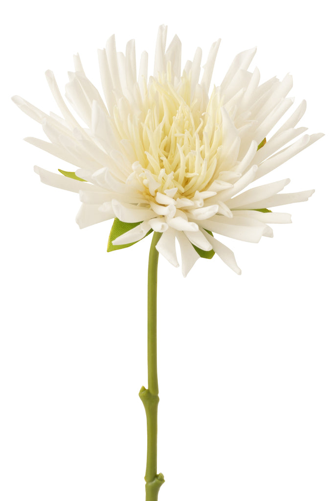 Chrysant Mini Plastic White Small