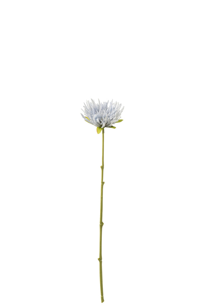 Chrysanth Mini Plastic Light Blue