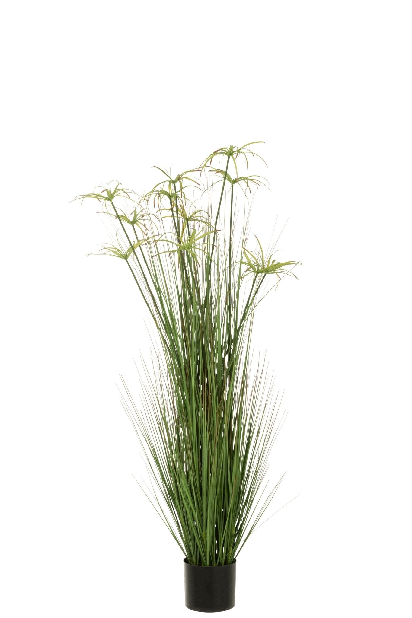 Cyperus Alternifolius 11 Heads In Pot Pvc Green Large - Luxe zijden bloemen boeket - Kunstbloemen van Sharon Flowers