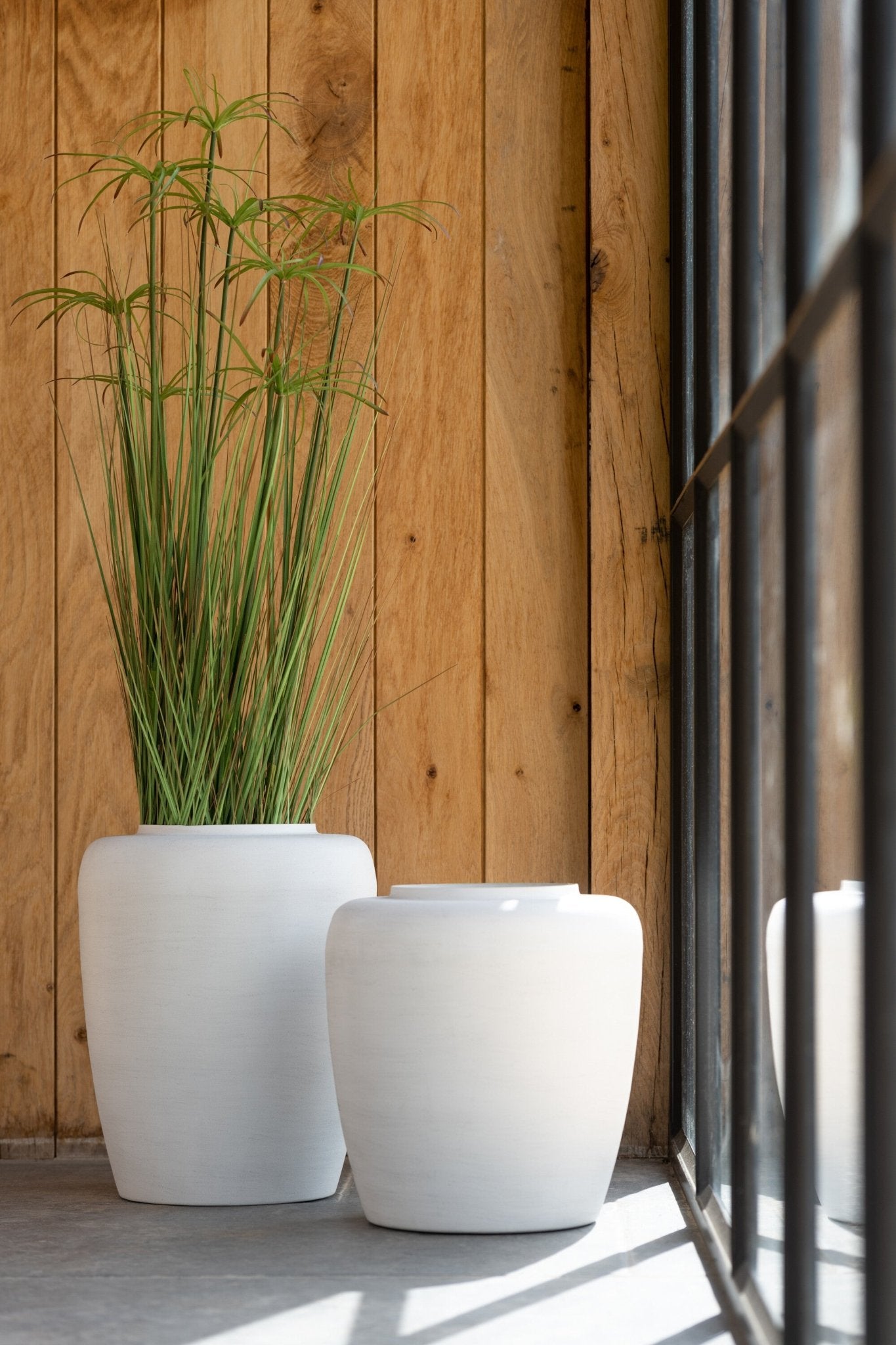 Cyperus Alternifolius 11 Heads In Pot Pvc Green Large - Luxe zijden bloemen boeket - Kunstbloemen van Sharon Flowers