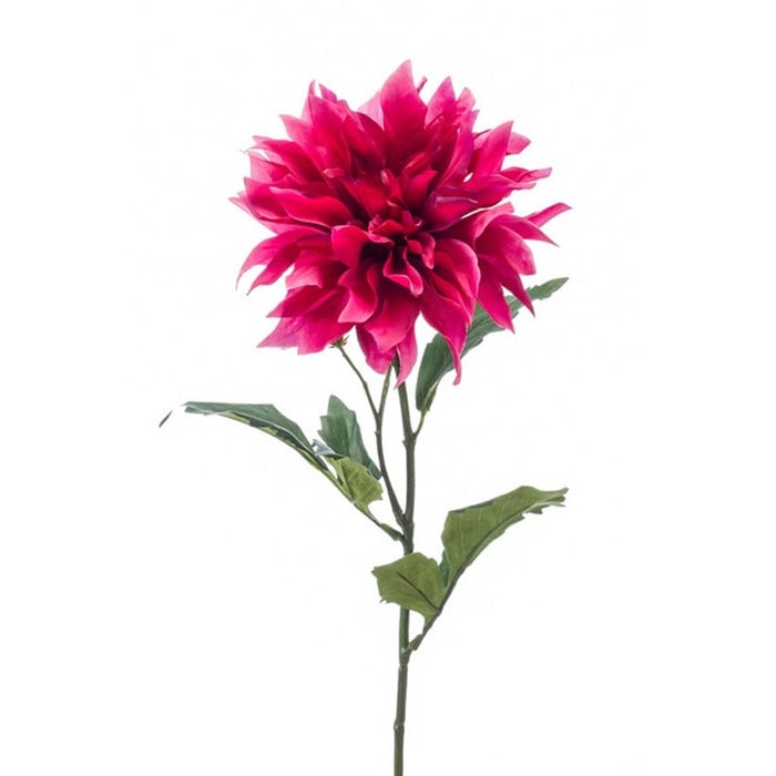 Dahlia Tak