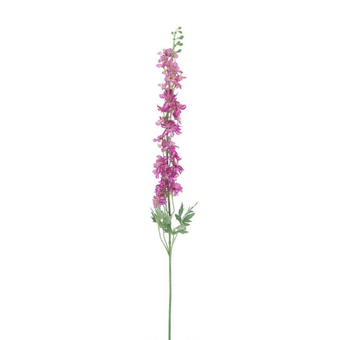 Delphinium Akana Roze H125