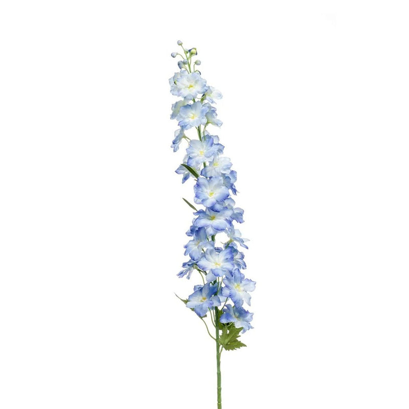 Delphinium Blauw H128