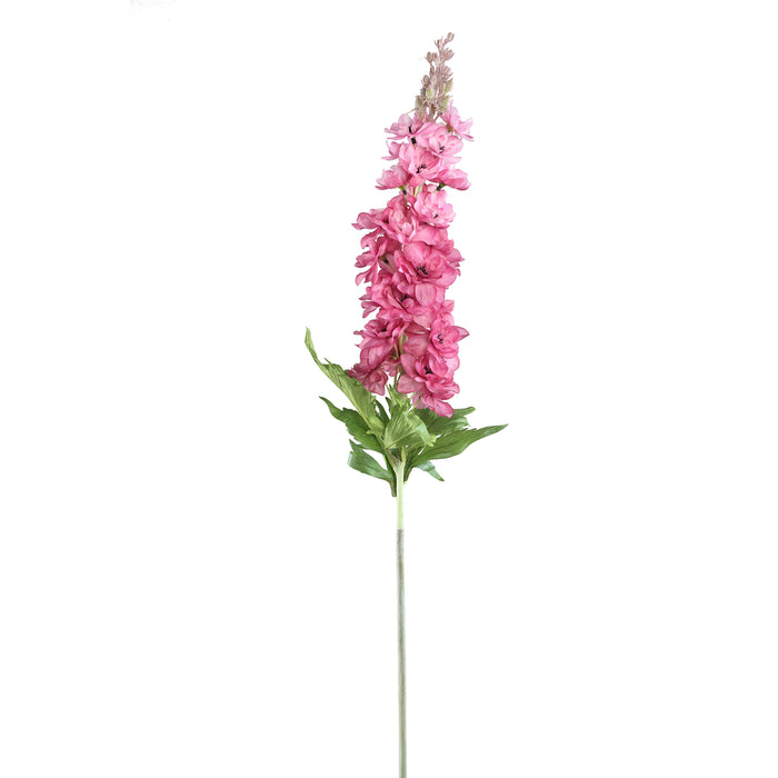 Delphinium Flower pink spray with leaves