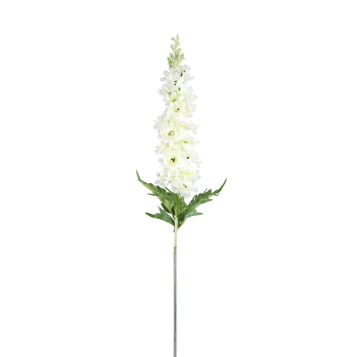 Delphinium Flower white spray with leaves