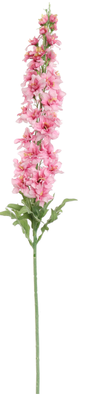 DELPHINIUM 110CM ROZE