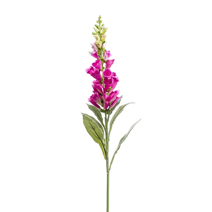 Digitalis tak