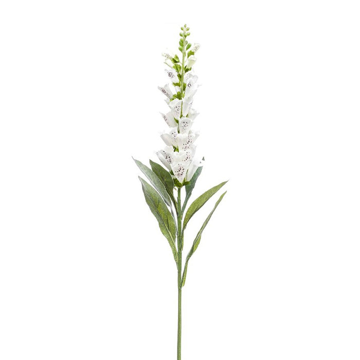 Digitalis tak Creme H92