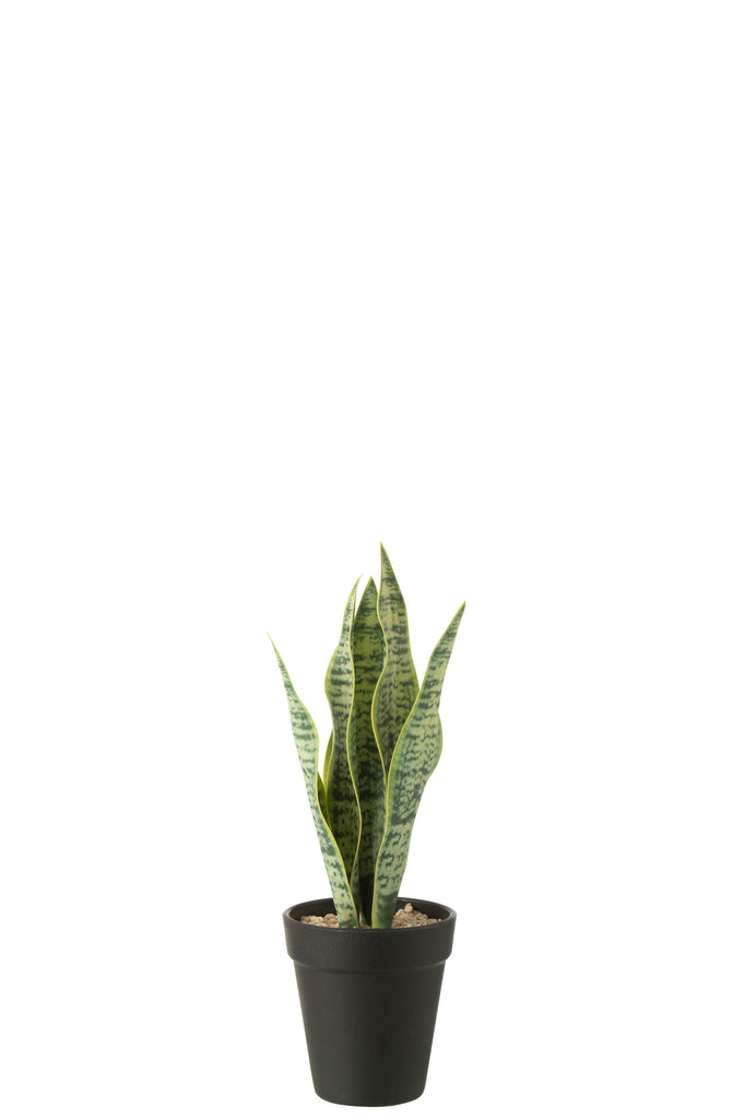 Dracaena Trifasciata In Pot Artificial Green Small