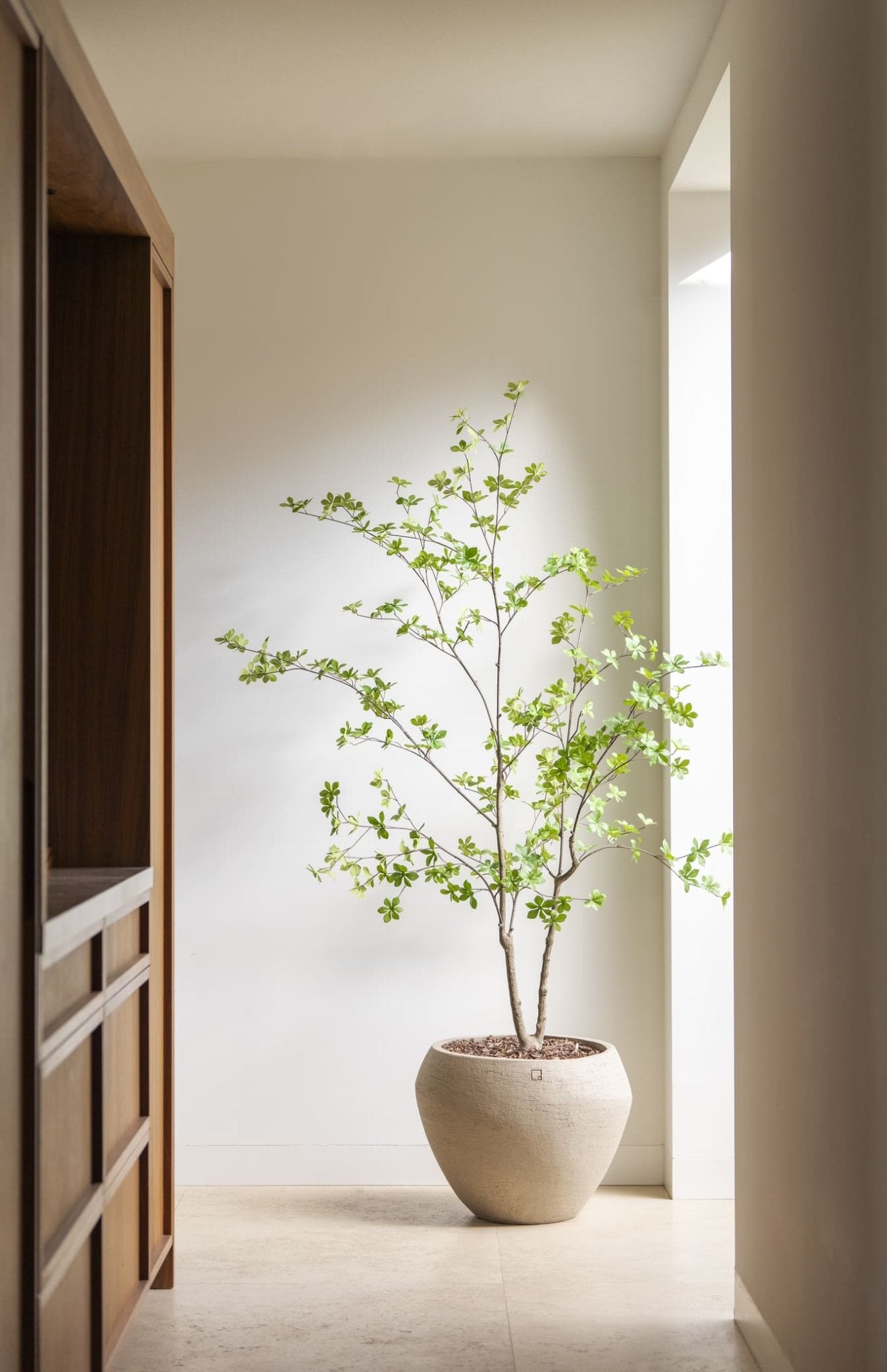 Enkianthus boom 180cm - Luxe zijden bloemen boeket - Kunstbloemen van Sharon Flowers