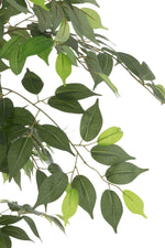 Ficus Tree Pot Artificial Green - Luxe zijden bloemen boeket - Kunstbloemen van Sharon Flowers