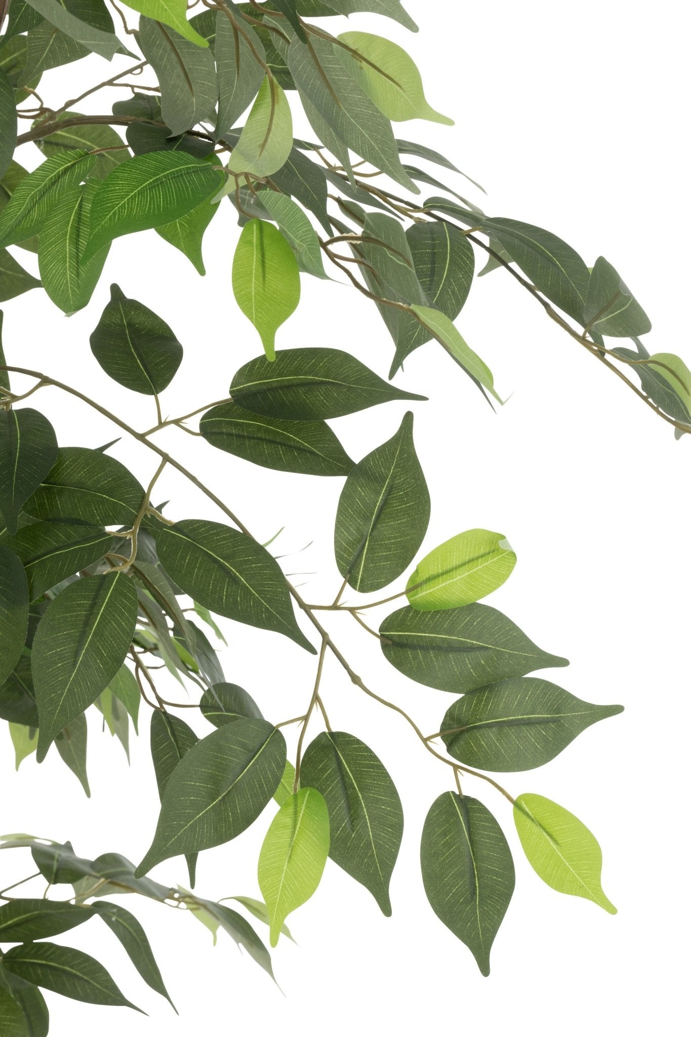 Ficus Tree Pot Artificial Green - Luxe zijden bloemen boeket - Kunstbloemen van Sharon Flowers
