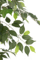 Ficus Tree Pot Artificial Green - Luxe zijden bloemen boeket - Kunstbloemen van Sharon Flowers