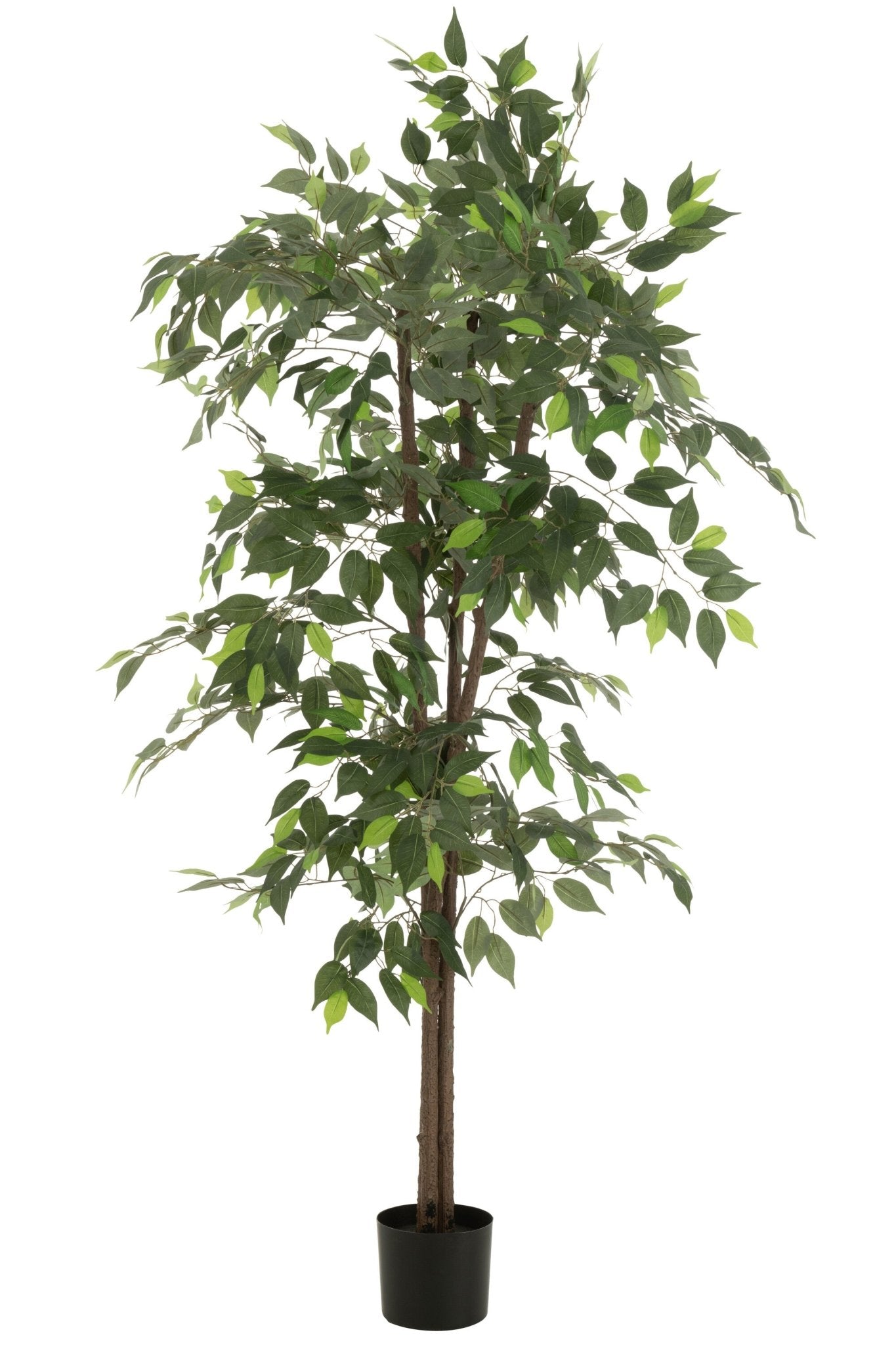 Ficus Tree Pot Artificial Green - Luxe zijden bloemen boeket - Kunstbloemen van Sharon Flowers