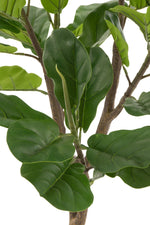 Fiddle Leaf Fig Plastic Green - Luxe zijden bloemen boeket - Kunstbloemen van Sharon Flowers