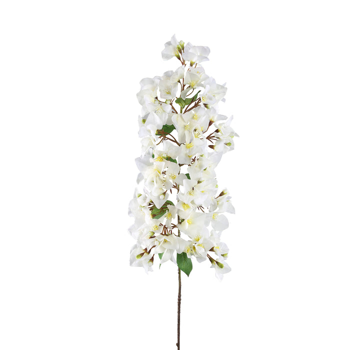 Garden Flower White Bougainvillea hanging