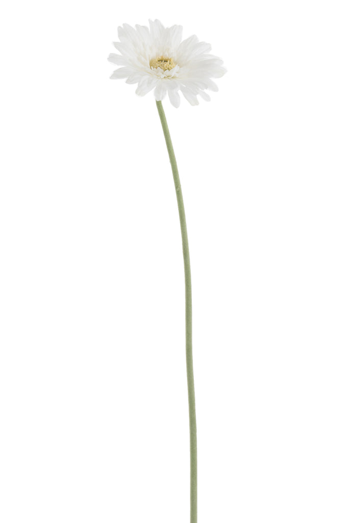 Gerbera Fresh Touch Plastic White