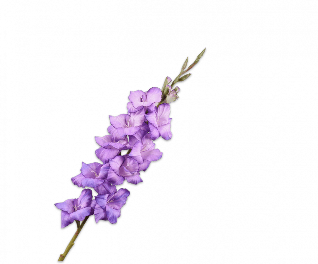 GLADIOOL STEEL LAVEND 101 cm - Luxe zijden bloemen boeket - Kunstbloemen van Sharon Flowers
