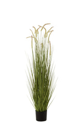 Grasses+Gramineae In Pot Plastic Green Large - Luxe zijden bloemen boeket - Kunstbloemen van Sharon Flowers