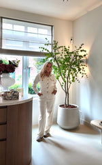 Handgemaakte zijden Bucida boom van Sharon Flowers en Merel.Interiors
