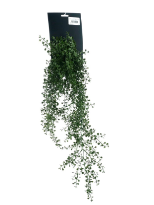 Button Leaf zijden plant – 65 cm