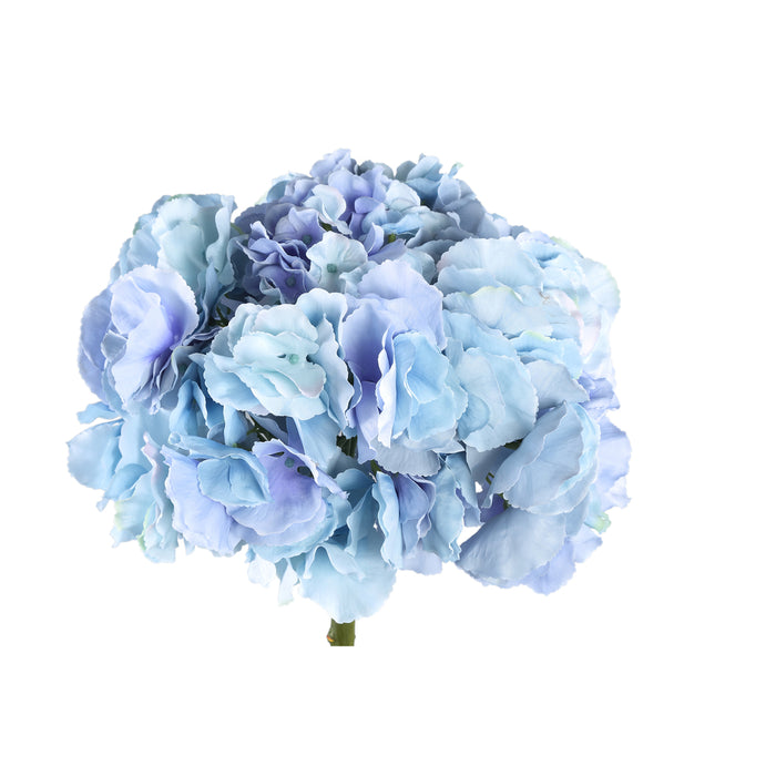 Hydrangea Flower blue big single flower