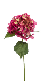 Hydrangea spray fuchsia 50cm