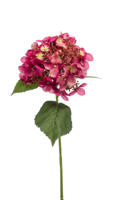 Hydrangea spray fuchsia 50cm
